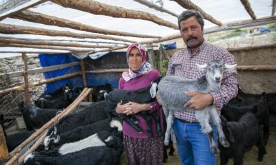 ‘Haydi Gel Köyümüze Destek Verelim’ projesi yeni doğumlarla büyüyor