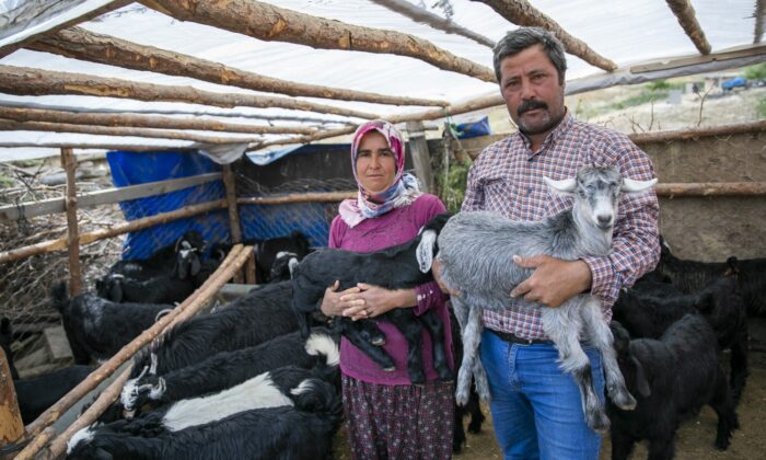 ‘Haydi Gel Köyümüze Destek Verelim’ projesi yeni doğumlarla büyüyor