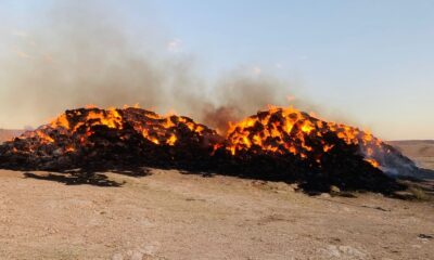 Haymana’da 5 bin balya saman yanarak kül oldu