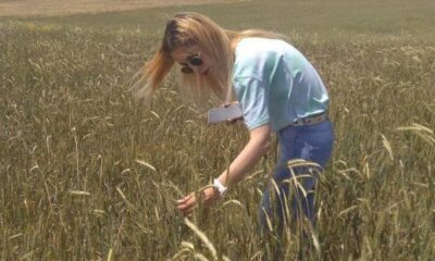 ’’Hayvancılıkta maliyeti azaltmanın en önemli yolu yem bitkisi ekilişidir’’