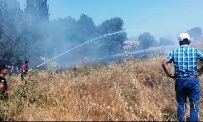 Hisarcık’ta 5 dekar hububat ekili alan yandı