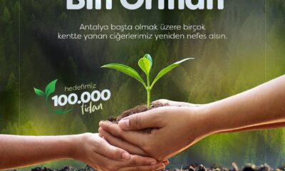 İDDEF’ten ’Bir Fidan Bin Orman’ projesi