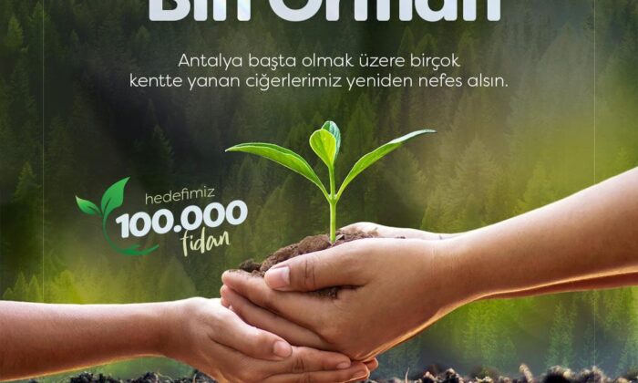 İDDEF’ten ’Bir Fidan Bin Orman’ projesi