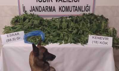 Iğdır’da uyuşturucu tacirlerine ve kaçakçılara geçit yok