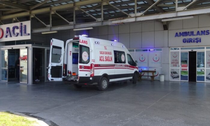 Ihlamur ağacından düşen yaşlı kadın ağır yaralandı