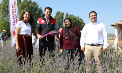 İnönü’de kadın çiftçilerin yetiştirdiği lavantalar göz dolduruyor