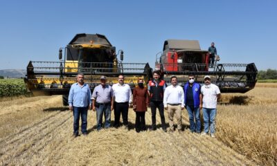 İnönü’deki arpa hasadı başladı