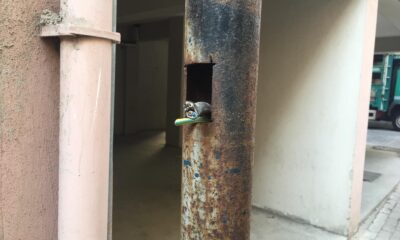 İnşaat şantiyelerinden kalan elektrik direkleri tehlike saçıyor