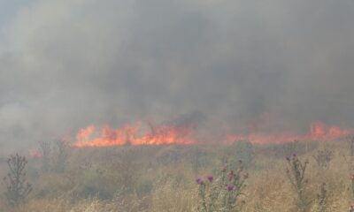 İş yerinin dibinde çıkan yangın paniğe neden oldu