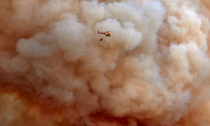 İspanya’da korkutan orman yangını