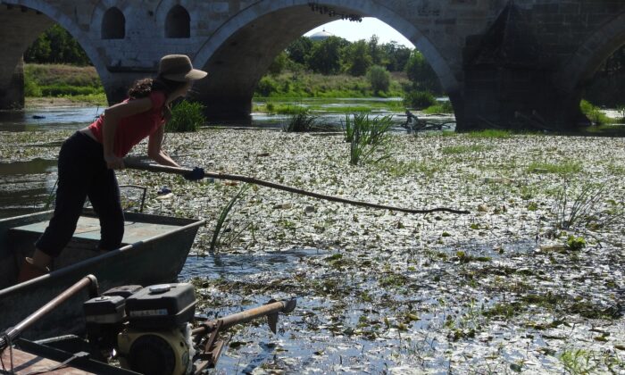 İspanyol öğretim görevlisi doğaseverlerle Tunca Nehri’nde temizlik yaptı