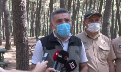 İstanbul Orman Bölge Müdürü Yusuf Şahin’den orman yasakları ile ilgili açıklama