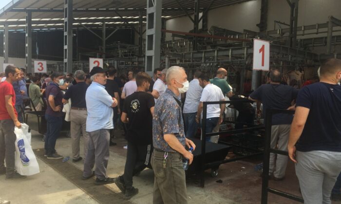İstanbul’da kurban kesim alanlarına sıkı denetim