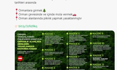 İstanbul’da ormanlara giriş 1 ay boyunca yasaklandı