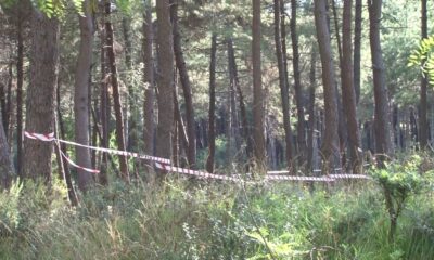 İstanbul’da ormanlık alanlarda şeritli ve polisli önlem