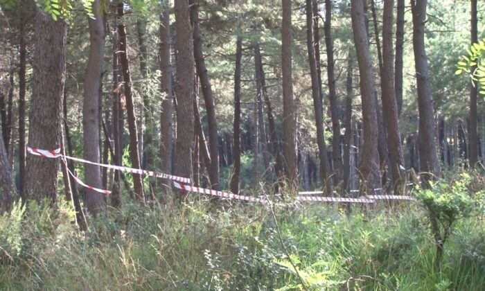 İstanbul’da ormanlık alanlarda şeritli ve polisli önlem