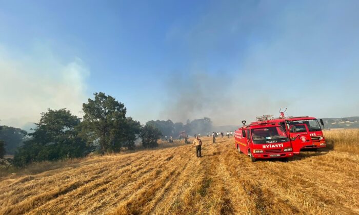 İvrindi’de 100 dönüm anız yandı