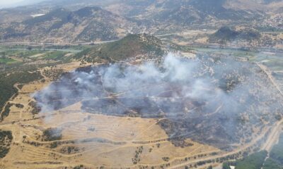 İzmir’de makilik ve zeytinlik alanda çıkan yangın kontrol altında