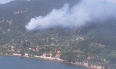 İzmir’de orman yangını