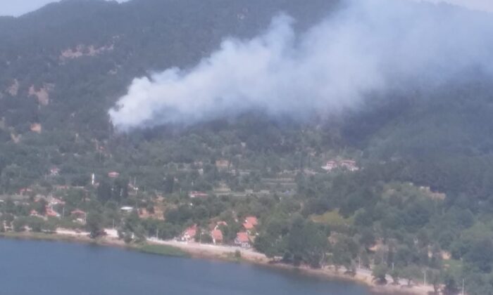 İzmir’de orman yangını