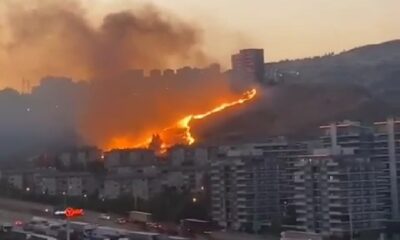 İzmir’de otluk alanlarda çıkan yangınlar söndürüldü