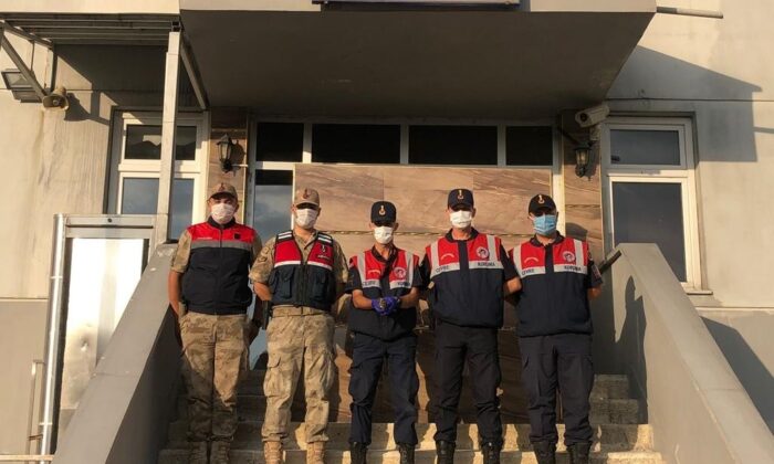 Jandarma ekiplerinin bulduğu ebabil kuşu tedavi altına alındı