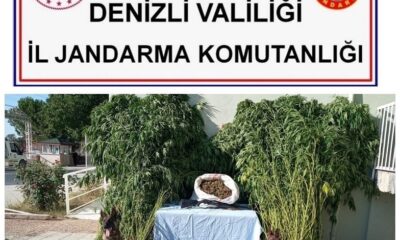 Jandarma tacirleri adım adım takip etti, 10 kilo esrarı satılamadan yakaladı