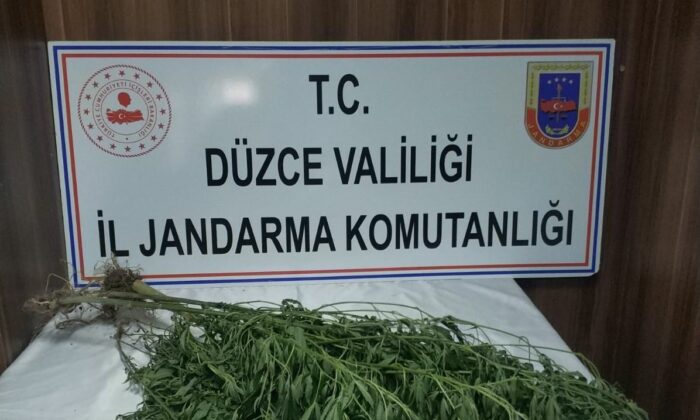 Jandarmadan uyuşturucu operasyonu