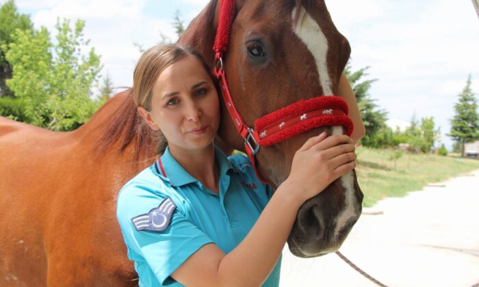 Kadın astsubaylar atları anne şefkati ile eğitiyor