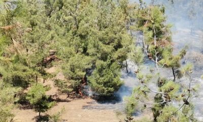 Kahramanmaraş’ta orman yangını