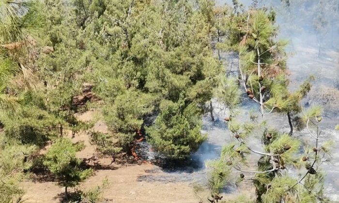 Kahramanmaraş’ta orman yangını