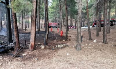 Kahramanmaraş’ta orman yangını