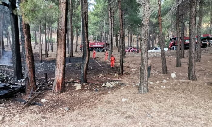Kahramanmaraş’ta orman yangını