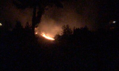 Kahramanmaraş’ta orman yangını