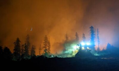 Kaliforniya’da orman yangını evleri küle çevirdi