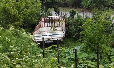 Kamyonet takla attı: 1 yaralı