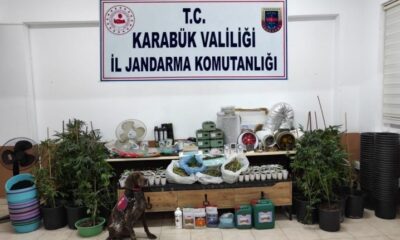 Karabük’te 149 kök kenevir ele geçirildi