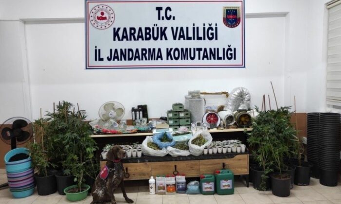 Karabük’te 149 kök kenevir ele geçirildi