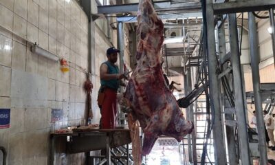 Karabük’te mezbahanede yoğunluk