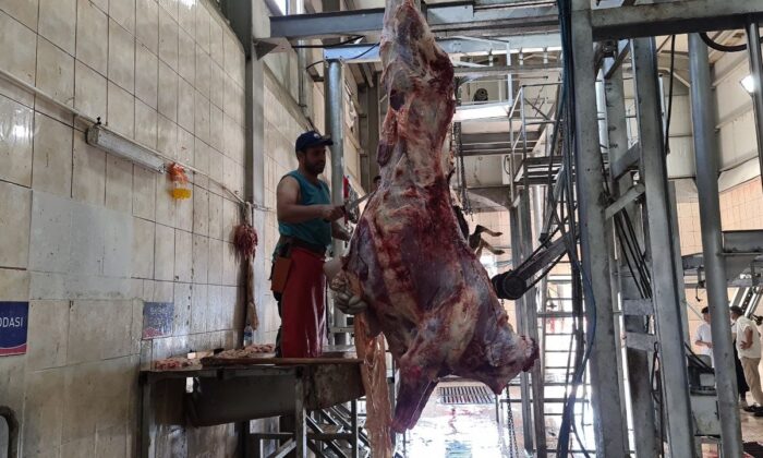 Karabük’te mezbahanede yoğunluk