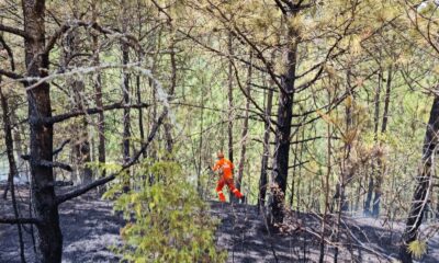 Karabük’te ormanlık alandaki yangın büyümeden söndürüldü