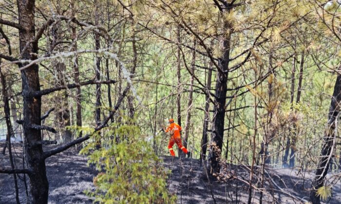 Karabük’te ormanlık alandaki yangın büyümeden söndürüldü