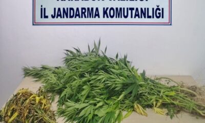 Karabük’te uyuşturucu operasyonu
