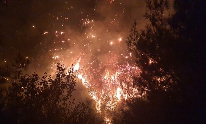 Karacalar köyündeki yangın kısmen kontrol altına alındı