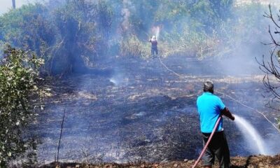 Karacasu’daki arazi yangını kontrol altına alındı