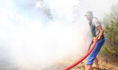 Karaman’da orman yangını çıktı
