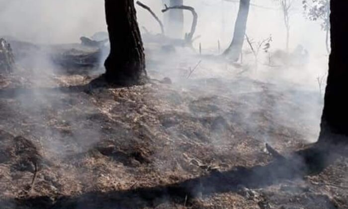 Kastamonu’daki orman yangınları kontrol altına alındı