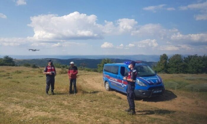 Kaybolan 3 adet büyükbaş hayvan jandarmanın drone çalışması ile bulundu