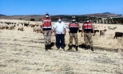 Kayıp çoban ve sürüsü 5 saat sonra bulundu
