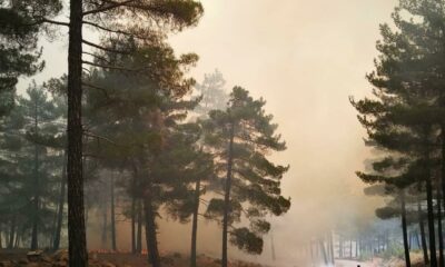Kayseri’de orman yangını
